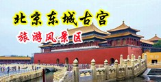 一边操小穴一边摸的视频免费观看中国北京-东城古宫旅游风景区